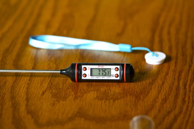 Chef Rémi Digital Cooking Thermometer Product Review 3 | Cooking-Outdoors.com | Gary House