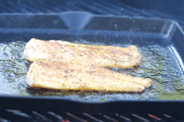 Grilled Fish for Tacos | Cooking-Outdoors.com | Gary House