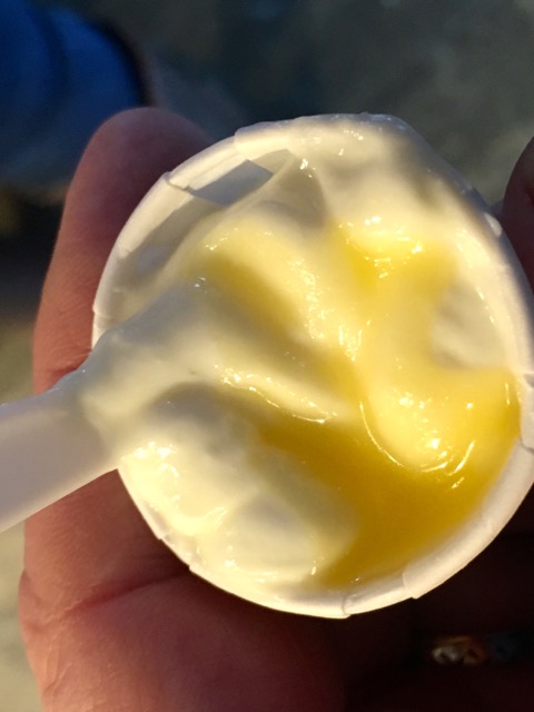 Caramel Vanilla Yogurt from Ellenos Greek Yogurt | Traveling 4 Food | Gary House
