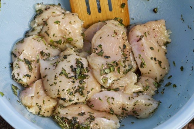 Chicken medallions mixed with fresh herbs | Cooking-Outdoors.com | Gary House