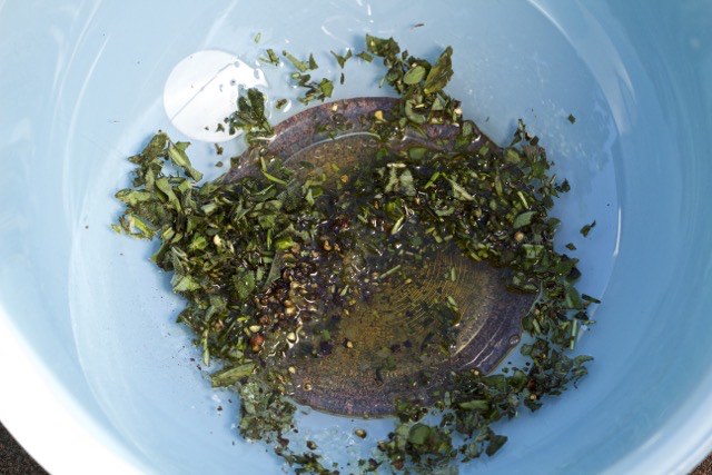 Fresh herbs, salt, pepper and olive oil | Cooking-Outdoors.com | Gary House